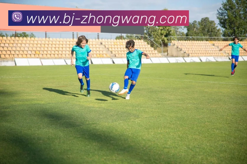 多彩内容专区